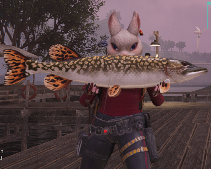 redfairie1's tweet photo. Happy hump day - guess I need a new house #fishslap #survival
https://t.co/U6bcDM39aC https://t.co/dTqFamxD9U