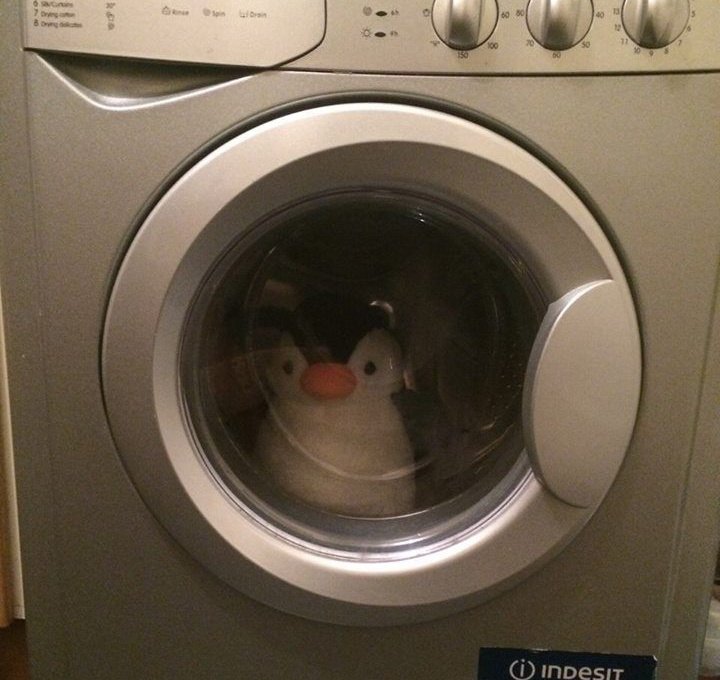 pingocore's tweet image. "queria que vc estivesse aqui"
eu há 3 dias na lavanderia da casa dela