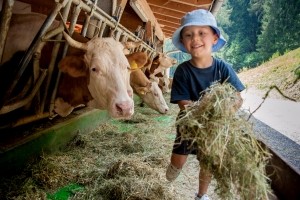 BioMedCentral's tweet image. Dairy Science & Management is calling for submissions to our collection ‘Assessing Animal Welfare in Dairy Farming: Insights on Housing and Management Practices.'
Submission Deadline: 29 July 2025.
bit.ly/4eWJDPX