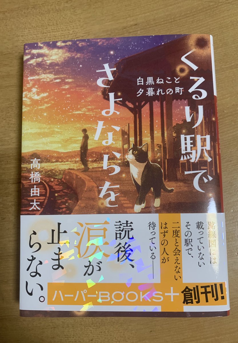 中古】 すべてが許されるとき/ハーパーコリンズ・ジャパン