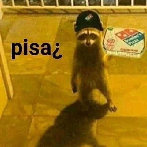 —Hola, mundo. He revivido (😃).