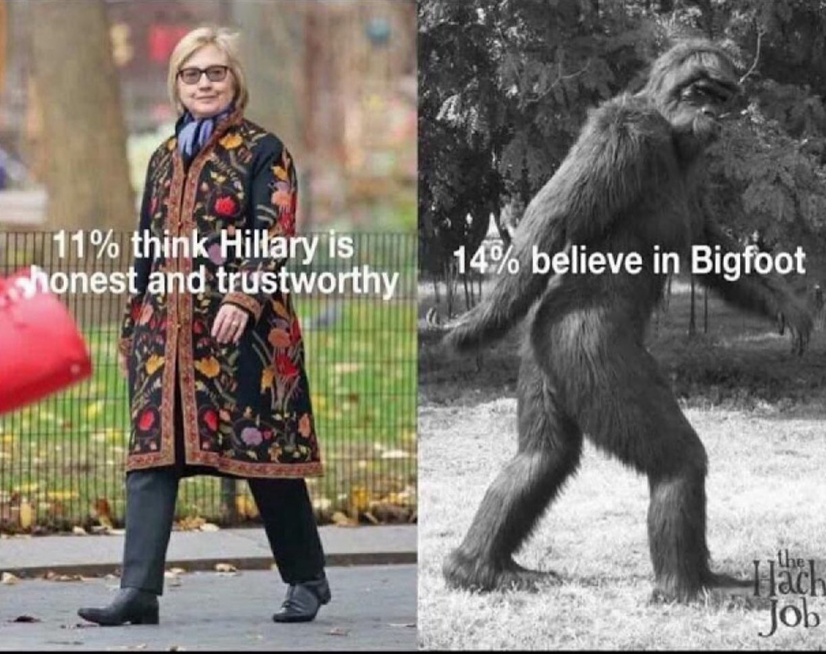 crusade_enjoyer's tweet image. More Americans believe in Bigfoot than believe anything Hillary says.