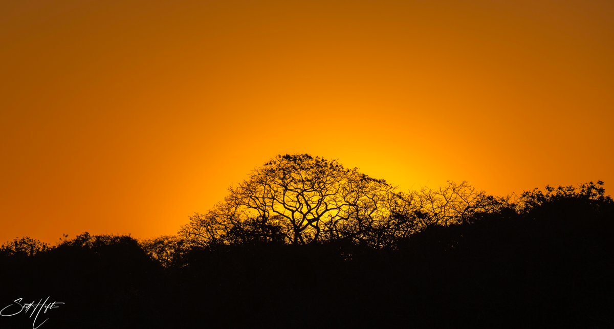 Can You feel the sun reminding You to begin again?