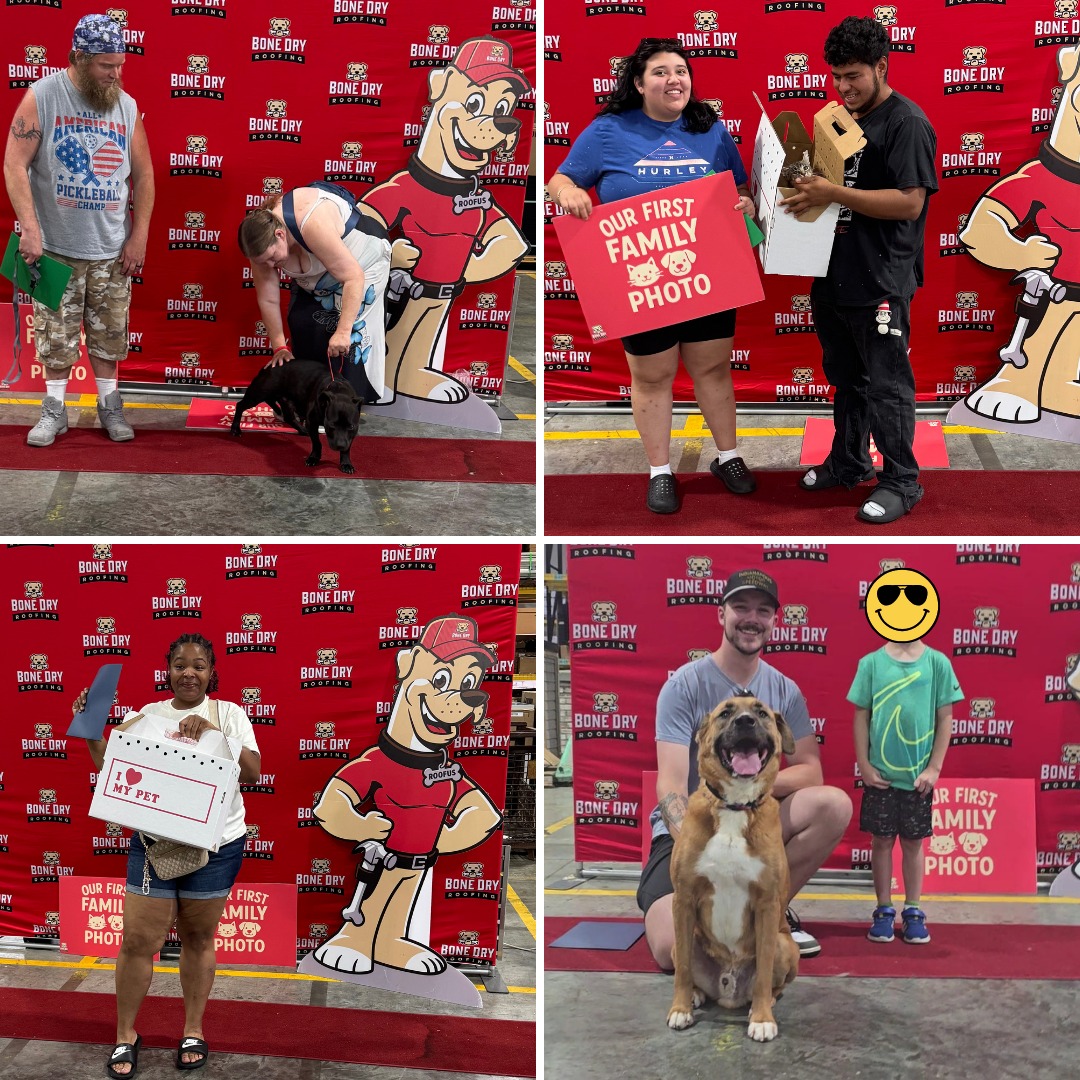 Kaos_Vs_Control's tweet image. Indianapolis Animal Care Services and Bone Dry Roofing got together to host an adoption event...the lucky pups!