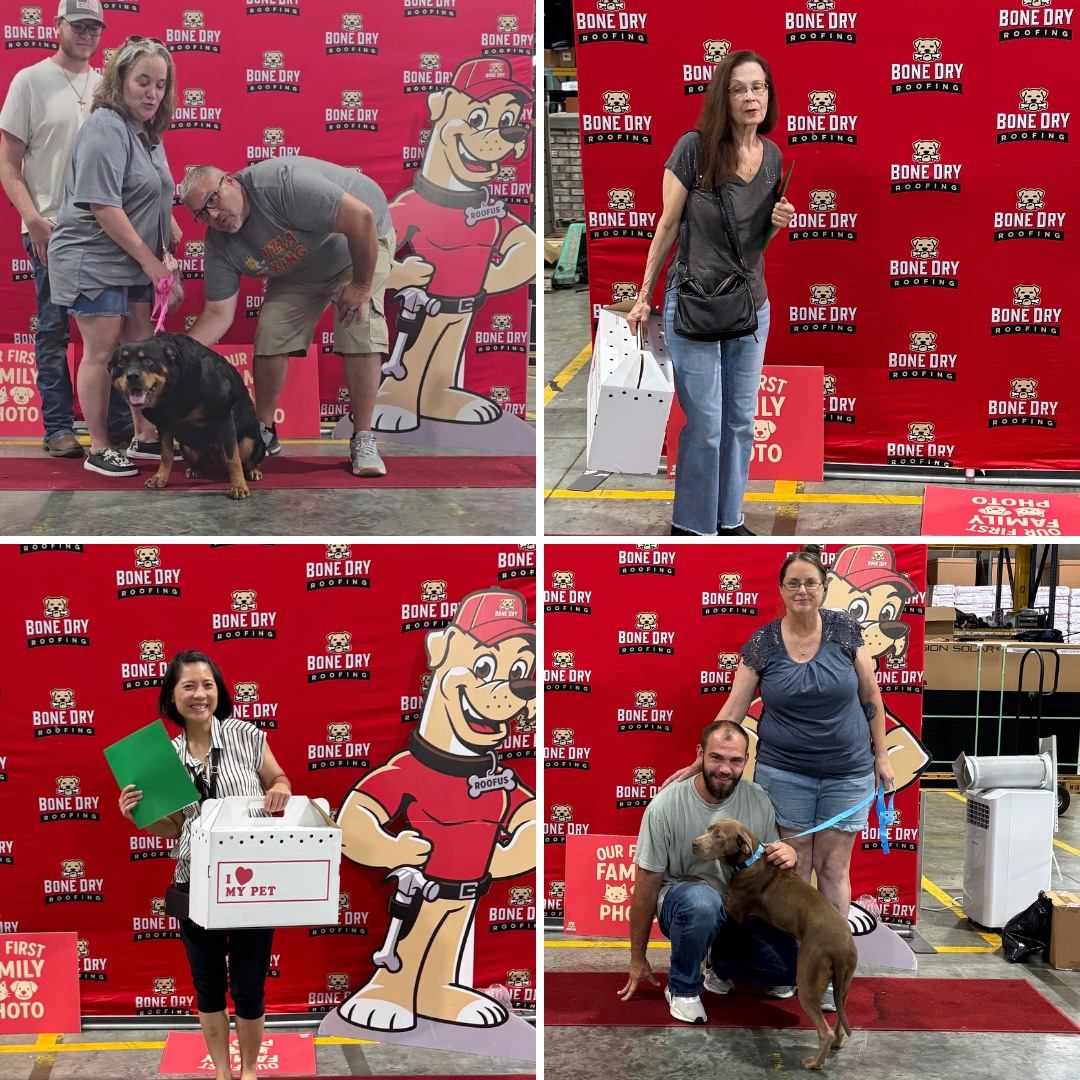Kaos_Vs_Control's tweet image. Indianapolis Animal Care Services and Bone Dry Roofing got together to host an adoption event...the lucky pups!