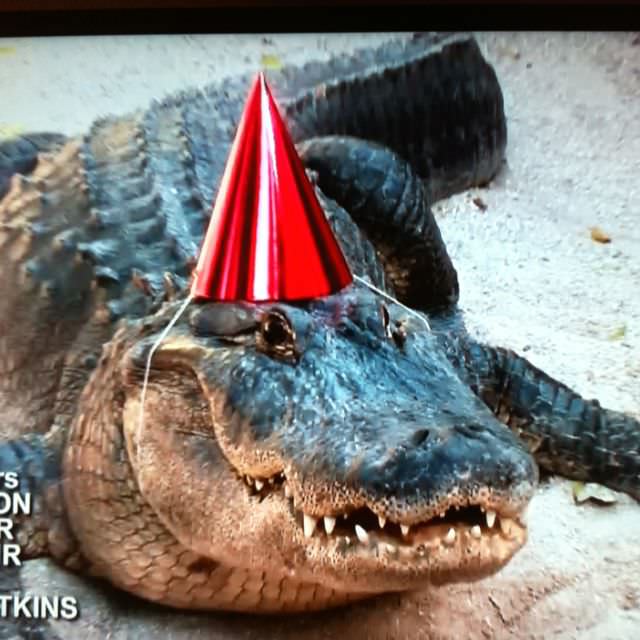RealAetius's tweet image. Thank you so much everyone for the birthday wishes, Im flattered and beyond thankful