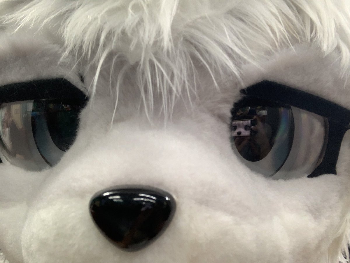 Takuma (@superkoomer) on Twitter photo 
