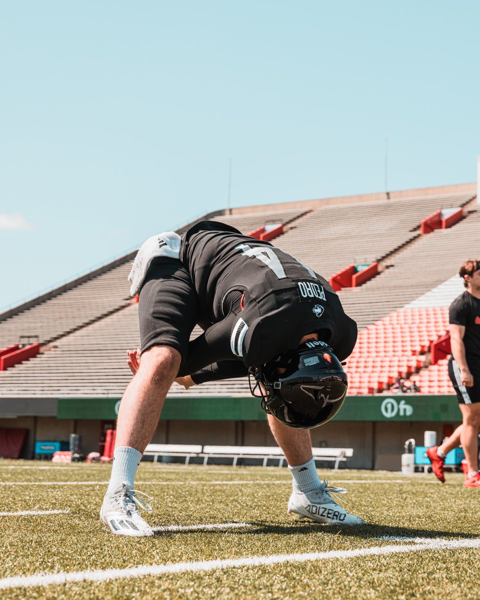 CoryConnolly's tweet image. Can’t wait to get the 2025 NIU Special Teams Unit all together again here soon. Going to be a great camp, looking forward to working with this group. #OneShot #HuntForOne☝️#TheHardWay #PlayLikeAHuskie