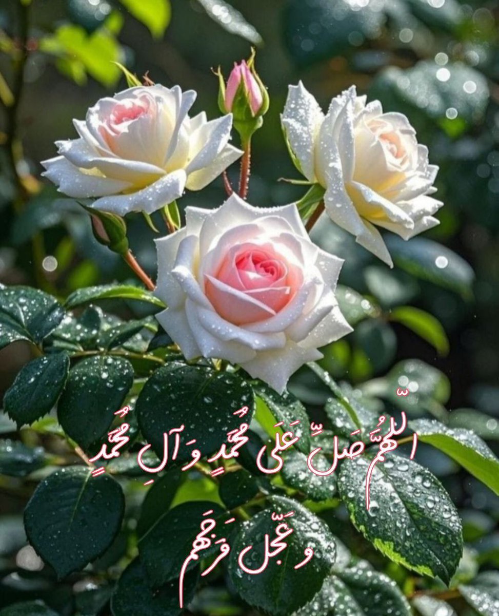 behzad19mah's tweet image. 🌹امام جعفر صادق علیه السلام:
بر محمد و آل محمد بسیار صلوات بفرستید، که در آن گشایش اندوهها و شتاب در فرج است.
اللهم عجل لولیک الفرج🌹