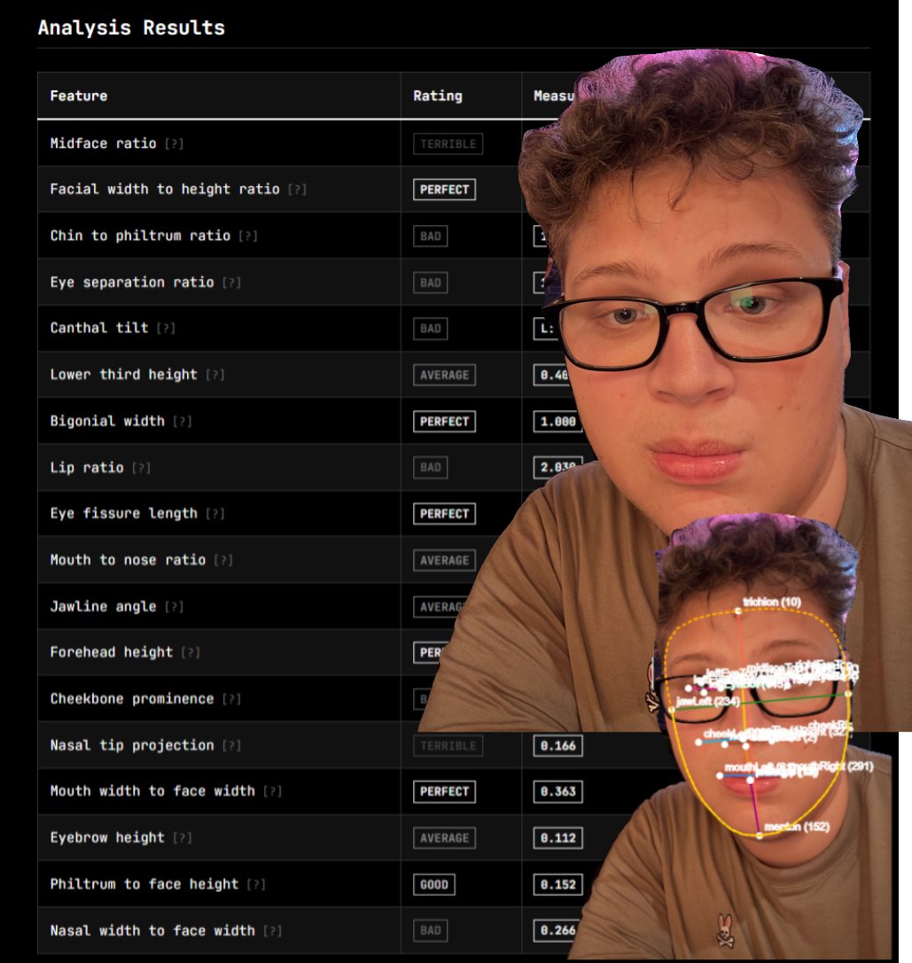 tuntBTC's tweet image. using advanced AI analysis i have determined that @orangie should stick to fortnite and not pursue women