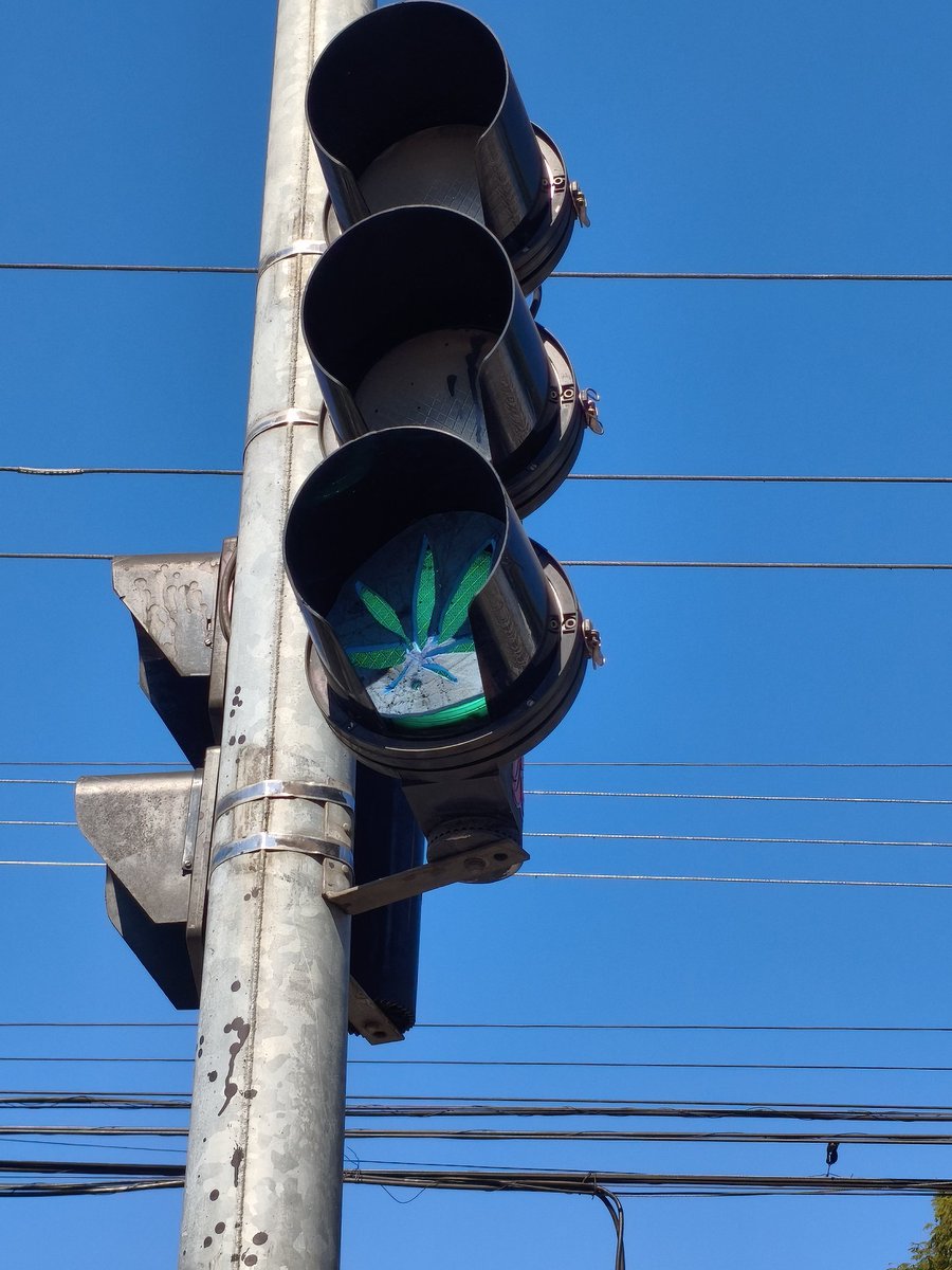 GranolaVoadora's tweet image. Perto da minha casa tem um sinaleiro que é uma folha de maconha