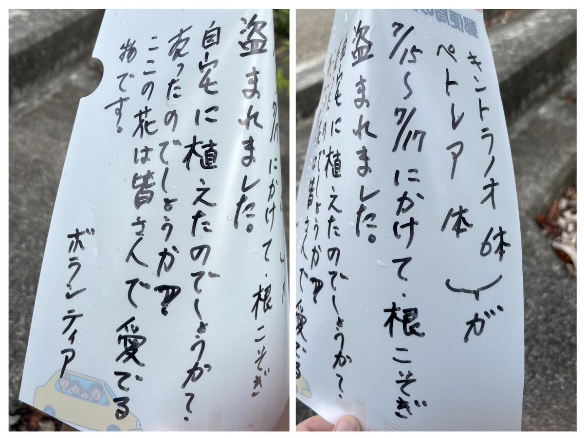 おはようございます🌤️
水曜日

推しに元気もらって朝からウォーキング行って来ました🚶‍♀️
明け方に降った雨があがり
お花達はキラキラ綺麗でした✨

サガリバナ
サンタンカ
アヒルちゃん♡

またお花泥棒が出たそう😢
お花泥棒が反省して盗むのをやめますように🙏

良い1日をお過ごしください😊