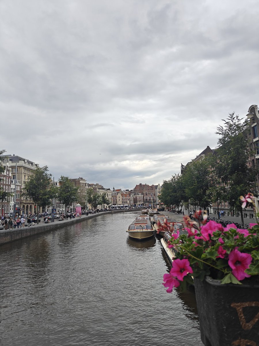 ToastyBlizz's tweet photo. I miss being in the Netherlands already 😔 https://t.co/et1YuA8Ncp