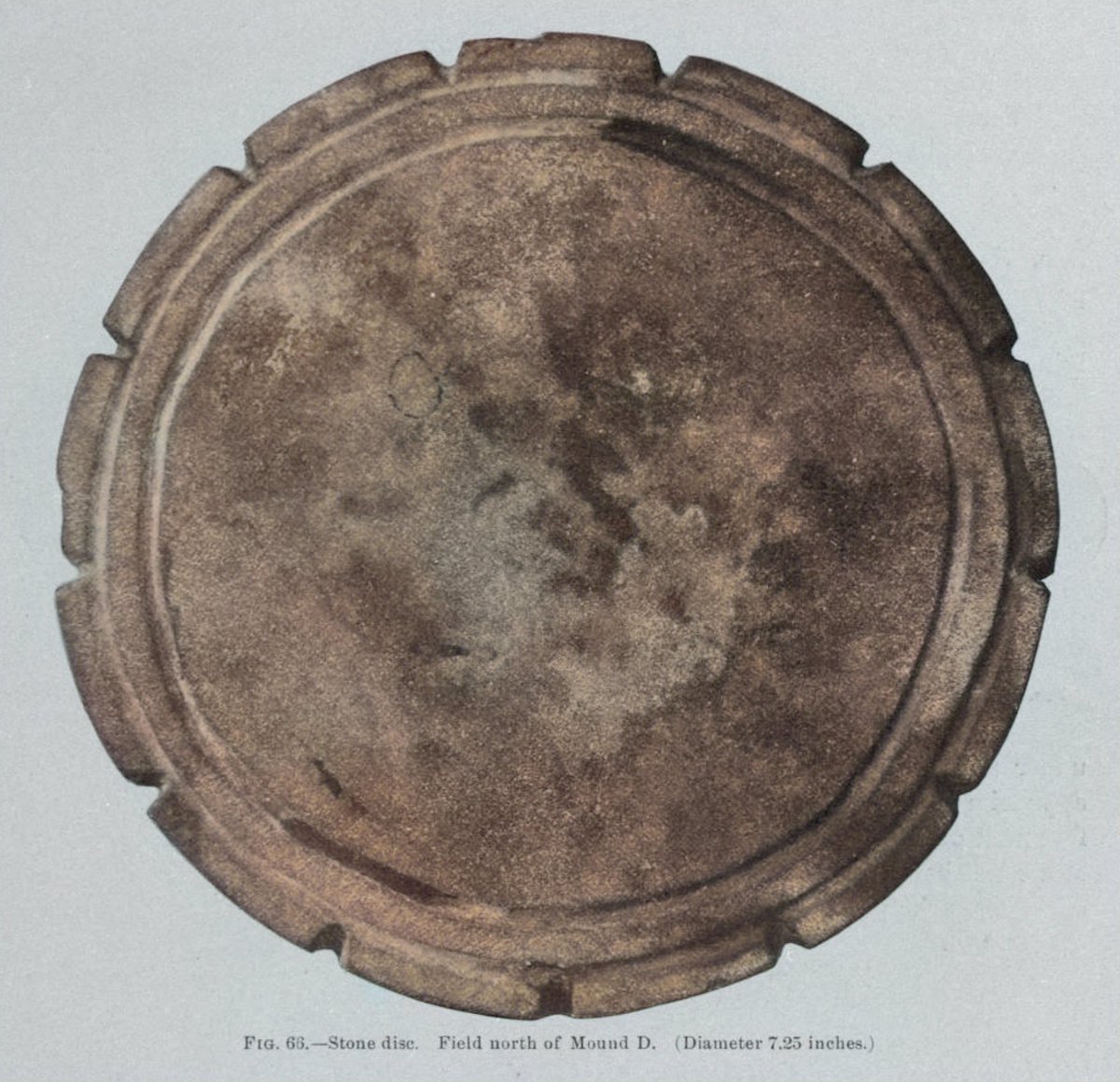 DrGregLittle2's tweet image. Polished stone discs excavated from mounds at the Moundville, Alabama complex in the early 1900s by C. B. Moore.