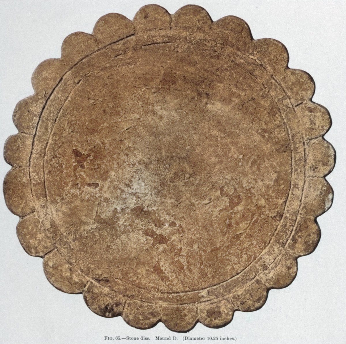 DrGregLittle2's tweet image. Polished stone discs excavated from mounds at the Moundville, Alabama complex in the early 1900s by C. B. Moore.