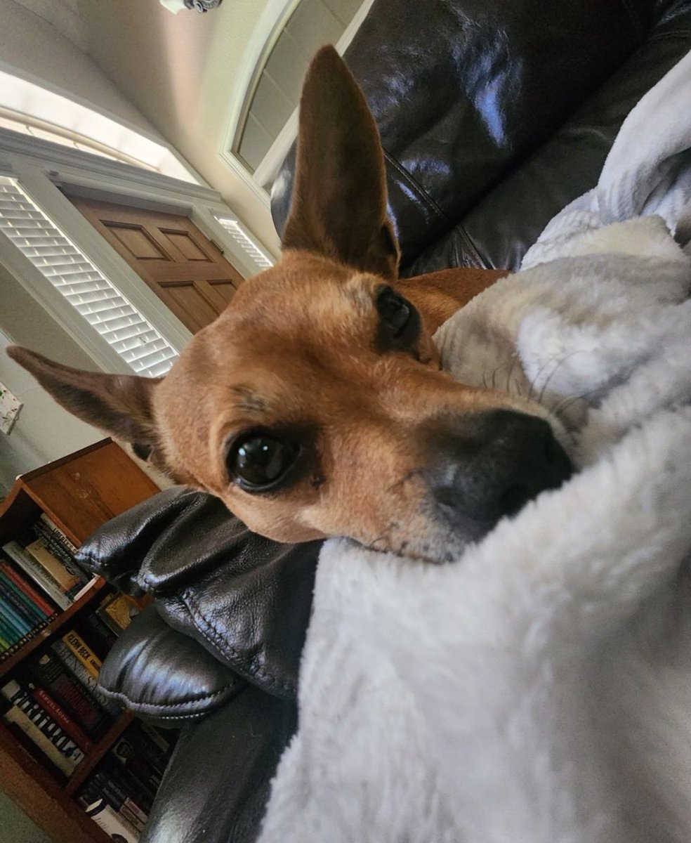 KeithMalinak's tweet image. Matilda, much like Tanner, is relieved the usual food givers have returned.