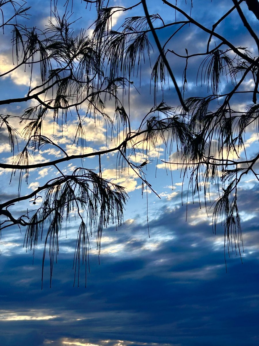 PatriciaLongw10's tweet image. Even the darkest days have beauty