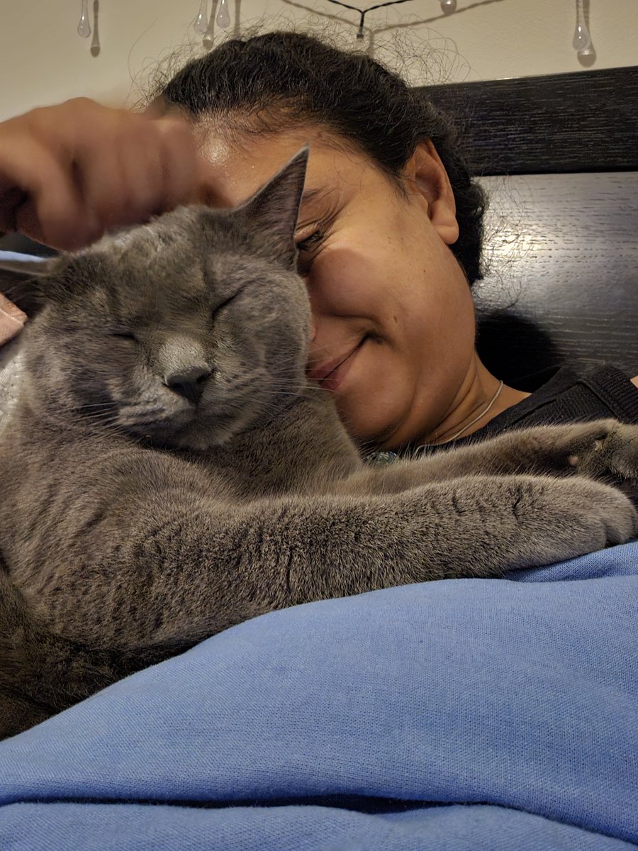 Dramatic sunset skies this evening in Costa Rica, and I'm reunited with my cat boi 🥰🥰