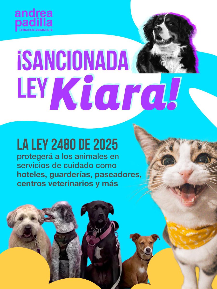 Nuestra #LeyKiara es una realidad! Pueden descargarla en mi web: andreapadilla.org 💙
Estamos creando #EstadoParaLosAnimales