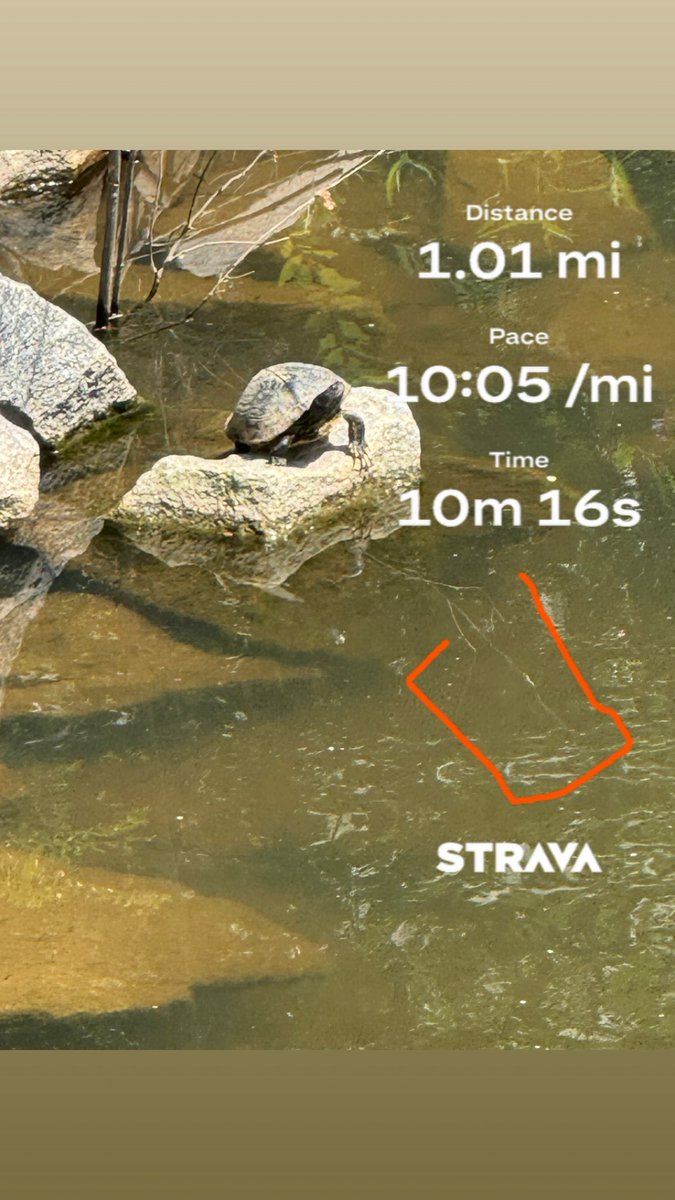 A mile a day even on the turtle speed days