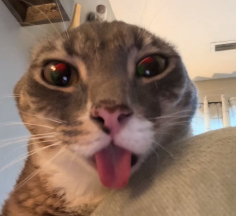 rae_vive's tweet image. I would just like to thank the yorunix nation for getting me to 50 followers in less than a month, I love you and am going to kiss you all on the mouths right now.