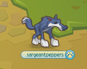 superwolfjammer's tweet image. sorry to anyone who may have wanted this username on animal jam its one of my accounts now Okay?