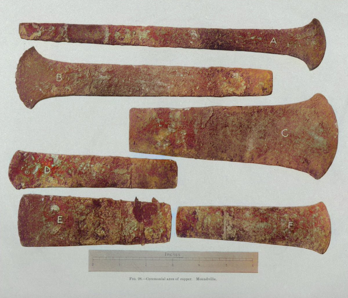 DrGregLittle2's tweet image. Ceremonial copper axes excavated from mounds at the Moundville, Alabama complex by C.B. Moore in the early 1900s.