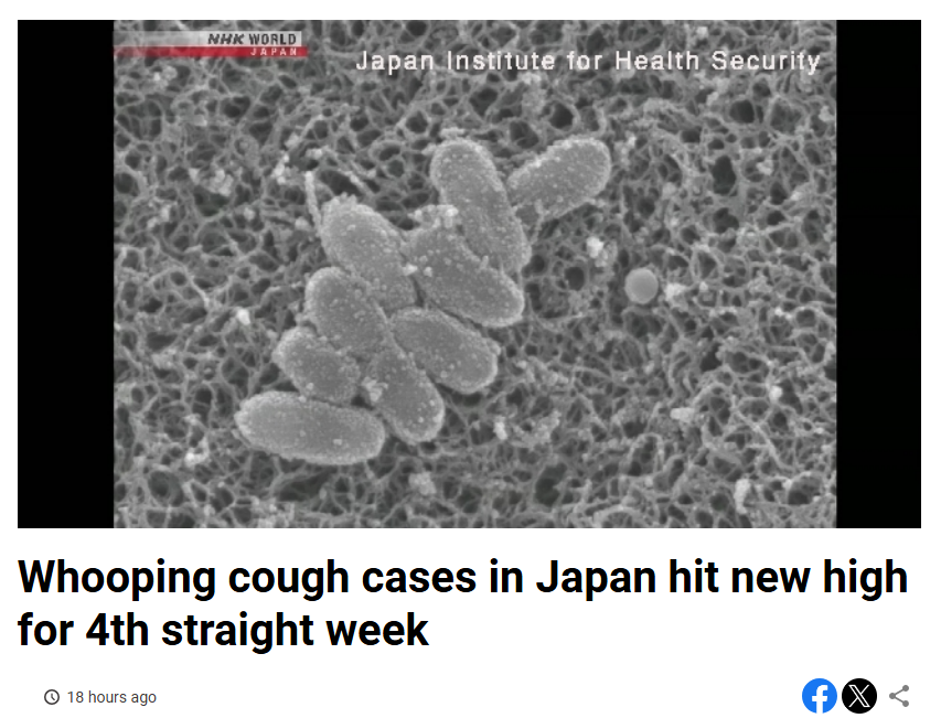 BigBadDenis's tweet image. 🇯🇵Japan: Whooping cough cases in Japan hit new high for 4th straight week
The country reported 3,682 patients in the week through July 13. That was 104 more than in the previous week and the highest since the current method of recordkeeping began in 2018
www3.nhk.or.jp/nhkworld/en/ne…