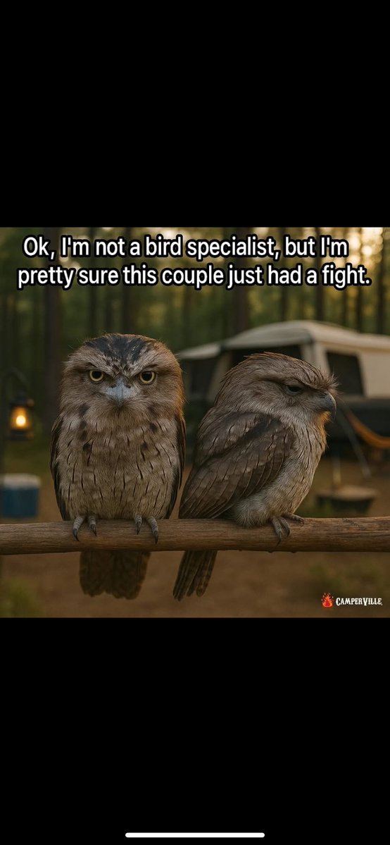 505Cali2's tweet image. Ok, Im not a bird specialist, but Im pretty sure this couple just had a fight.