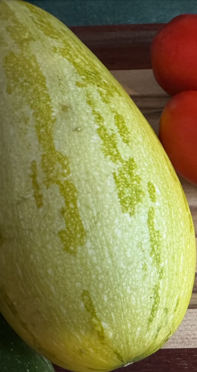 redheadranting's tweet image. My gardeners - I thought I picked a yellow summer squash, but I think it might be a pumpkin, it could be a watermelon or possibly a butternut squash. I picked it too early. Will it ripen or have I just aborted a large unknown plant?