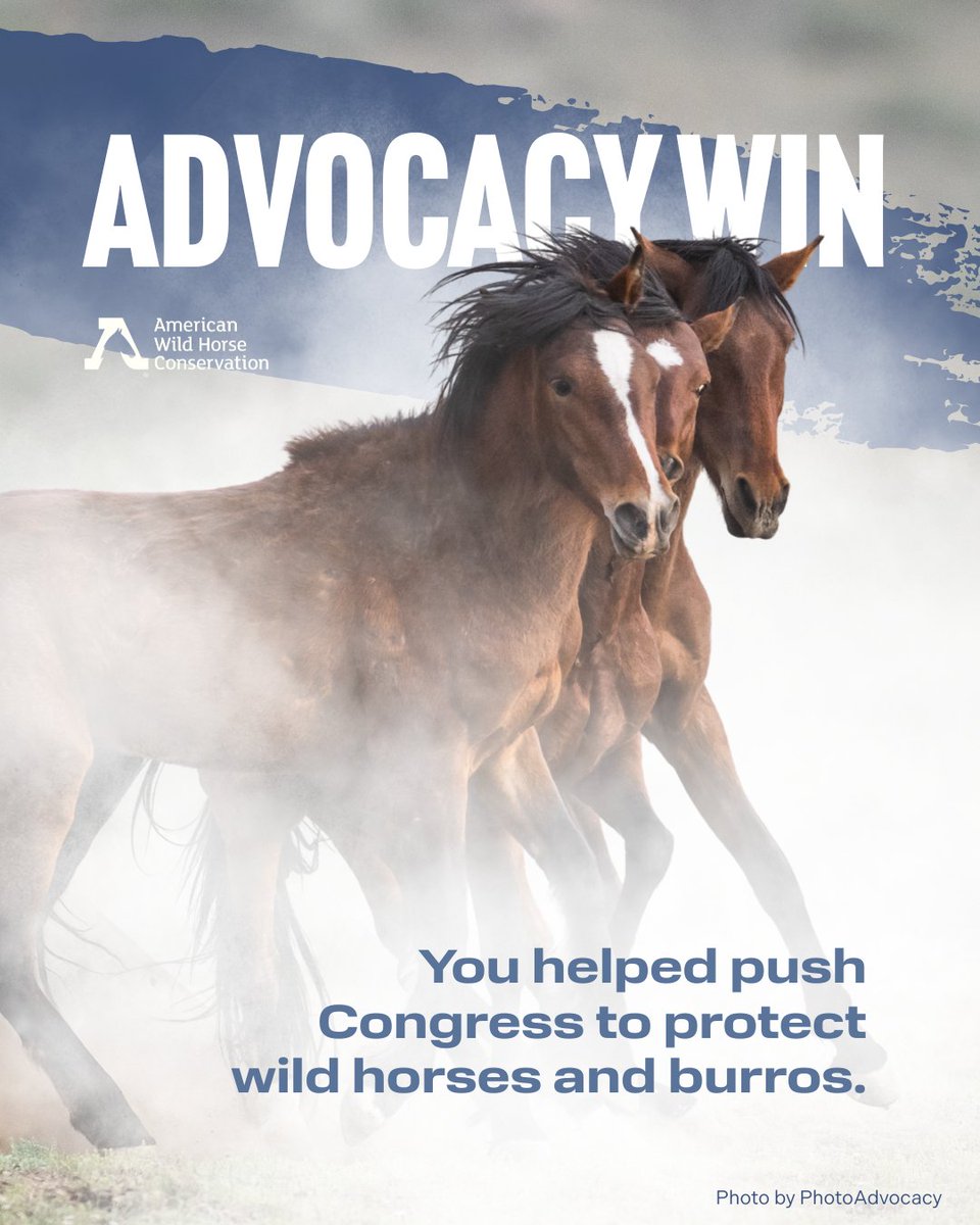 FreeWildHorses's tweet image. BREAKING: Today, the House Appropriations Committee pushed back! 💪 🎊 They:
✅ Restored the ban on killing wild horses
✅ Blocked a dangerous loophole that could increased slaughter
✅ Maintained critical funding for humane birth control
✅ Demanded more oversight from the BLM