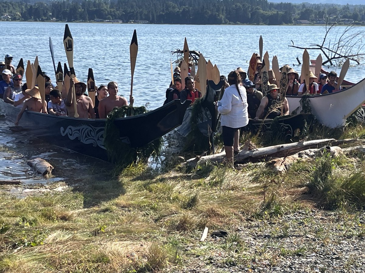 TheDHTaylor's tweet image. Here in Comox, BC for the Canoe Journey 2025. An honour to be on the beach watching… though few things can really beat a birchbark canoe. But I may be somewhat biased…