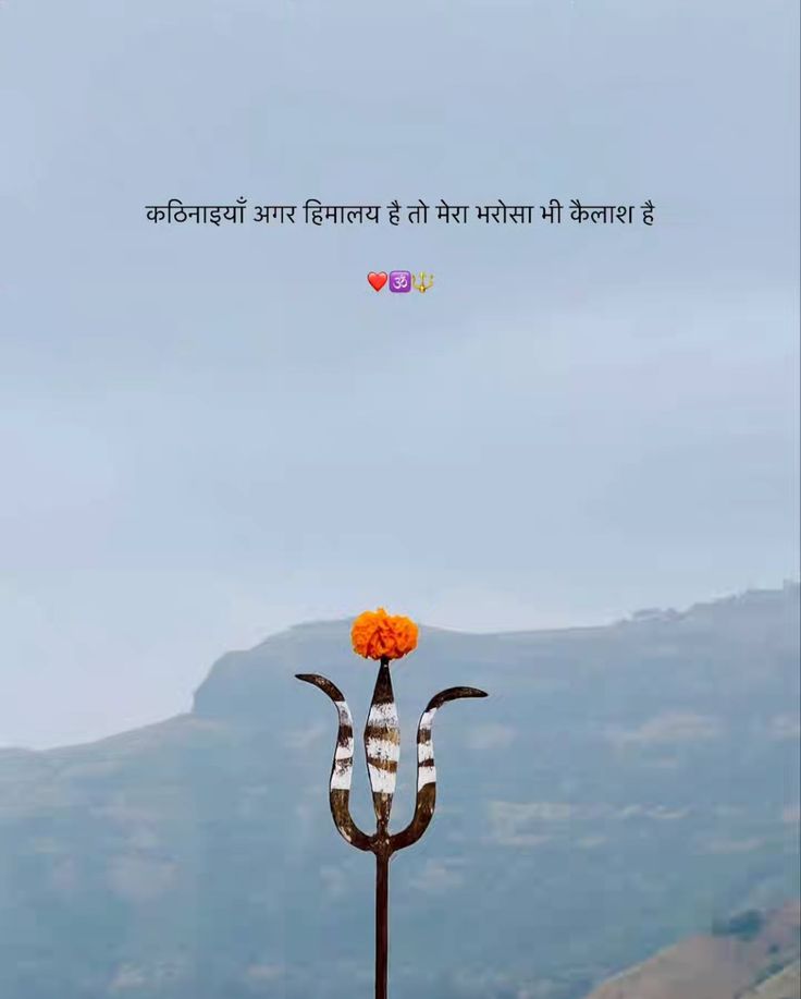 । हिम्मत हिमालय सी है....
               और भरोसा कैलाश पर है।।
🔱 हर हर महादेव 🔱