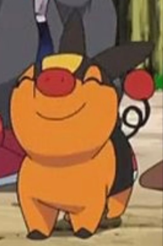 TepigGanda's tweet image. Tepig = 10/10