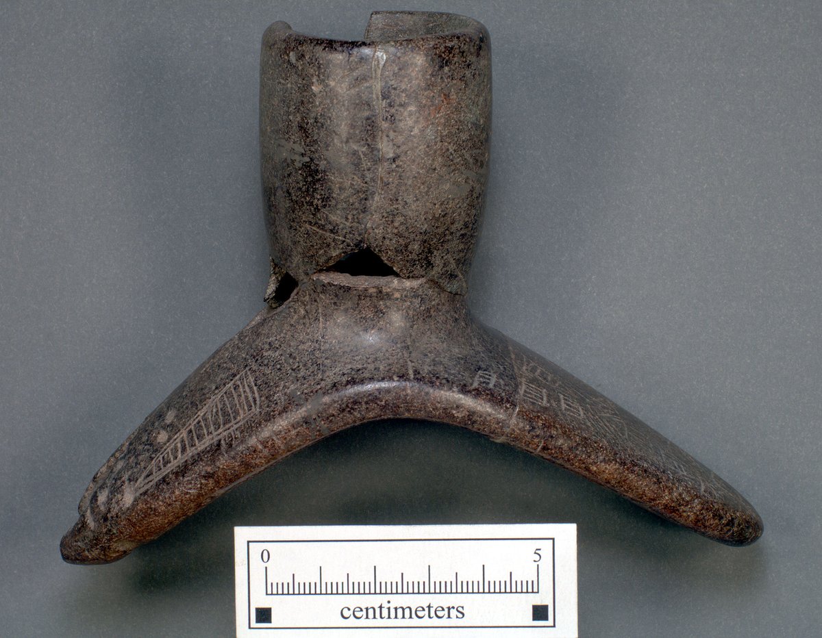 DrGregLittle2's tweet image. Two pipes excavated from mound sites in coastal southern North Carolina. The carving and characters on these are pretty interesting. The dates on these could be as early as AD 1200-1300 or as recent as 1600.
These are from the UNC archaeology digital collection.…