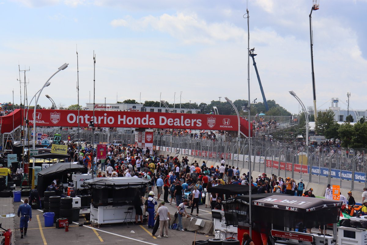 Francisco Pegado tweet media