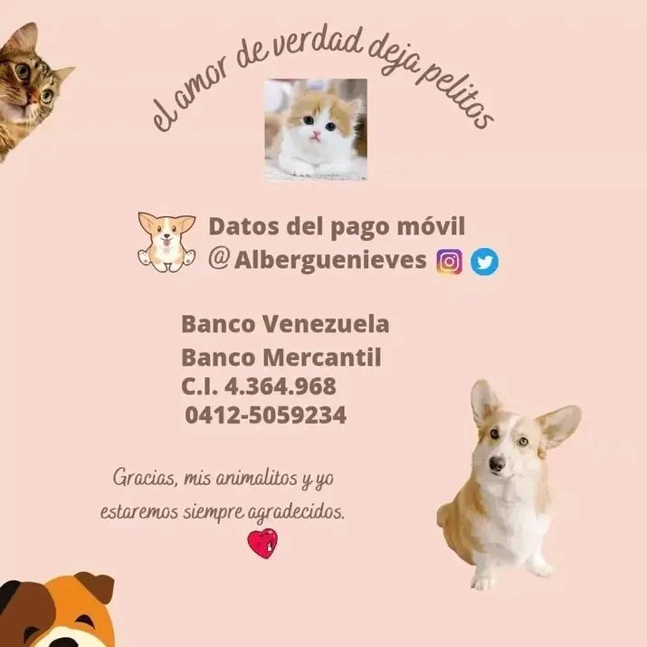 Alberguenieves's tweet image. Esperamos que mañana nos donen para la comidita de los peludines. Gracias