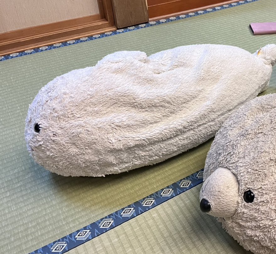 shiro1999tan's tweet image. 横になったん
#しろたん