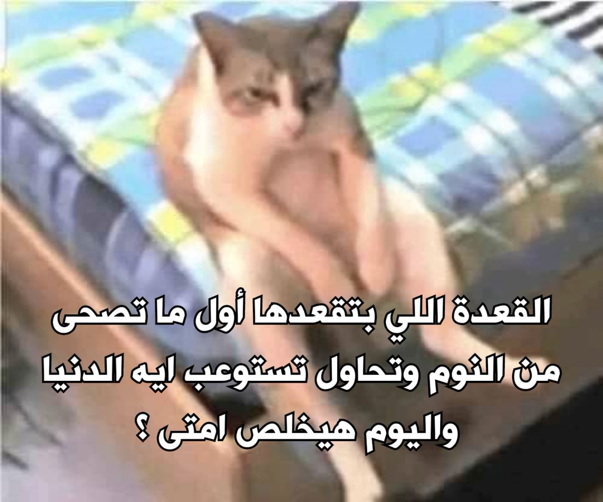 egymeme11's tweet photo. https://t.co/DMMAV5NWJT