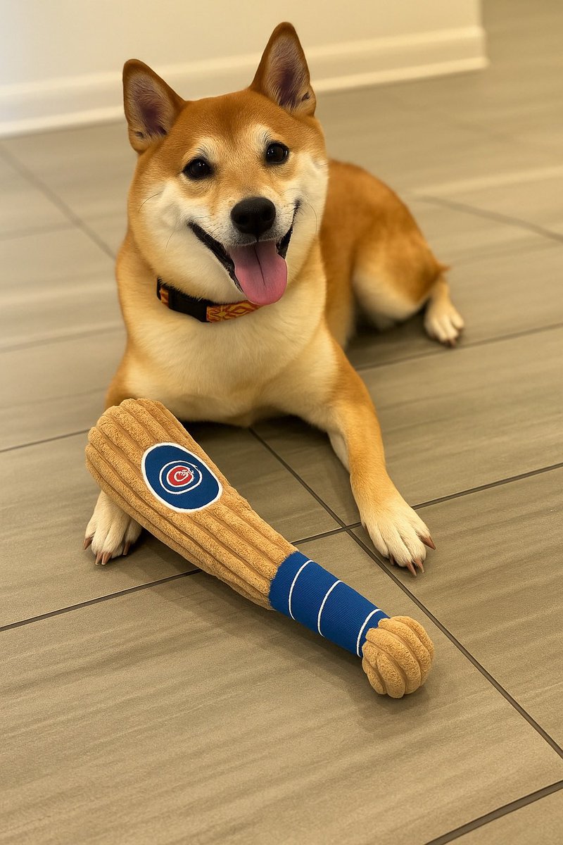 rock_chalk_sara's tweet image. 28 hours and my little guy is still missing and I can’t breathe. I’ve spent hours looking.
Please let me know if you know anything. 101st/Antioch area in Overland Park, KS.
