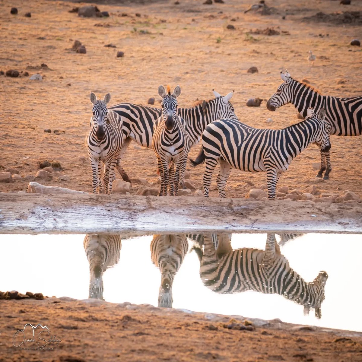 Politics of UNCERTAINTY:
"If a CHILD washes his hands, he can EAT with KINGS"~IGBO Prover6