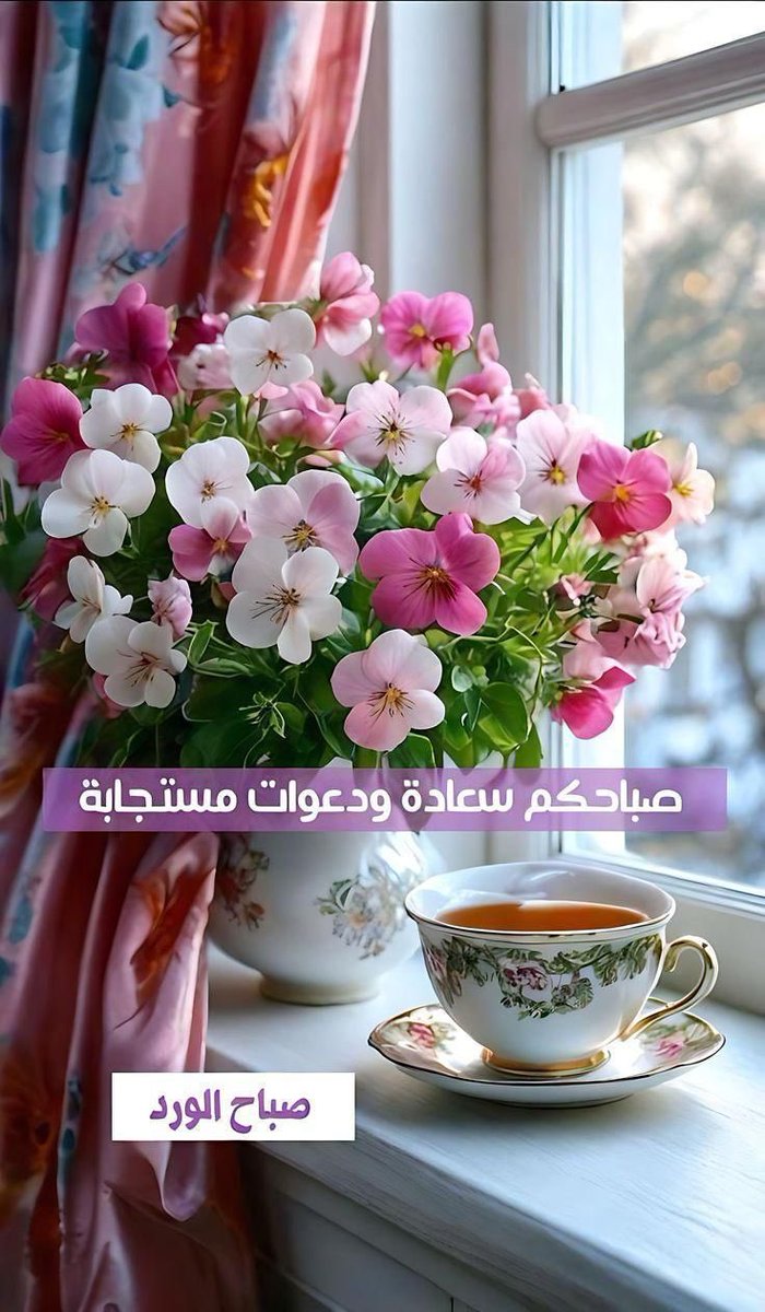 الغنيم عادل (@adel73467641) on Twitter photo 