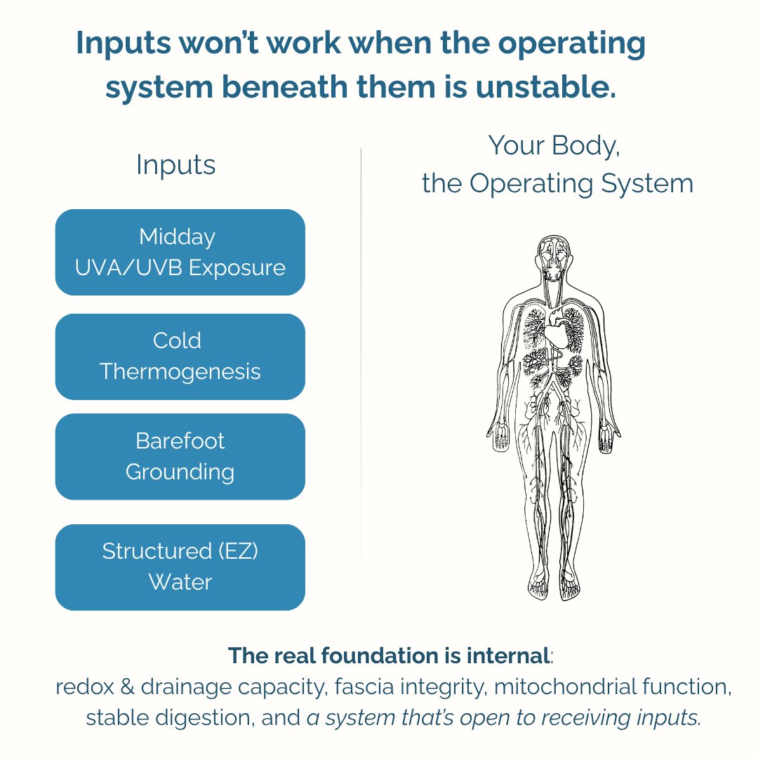 OOMOHealth's tweet image. You can’t upgrade the apps if the operating system is unstable. 🌐
You’ve optimized your routines.
Tried the protocols.
Dialed in your stack with all the right inputs...
...but progress stalls.
Inputs only work if the system beneath them is ready to run. ⚡