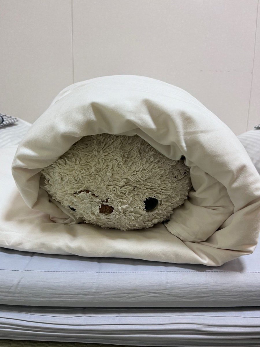 shiro1999tan's tweet image. これは横？縦？
よくわからなくなってきた、、
#しろたん