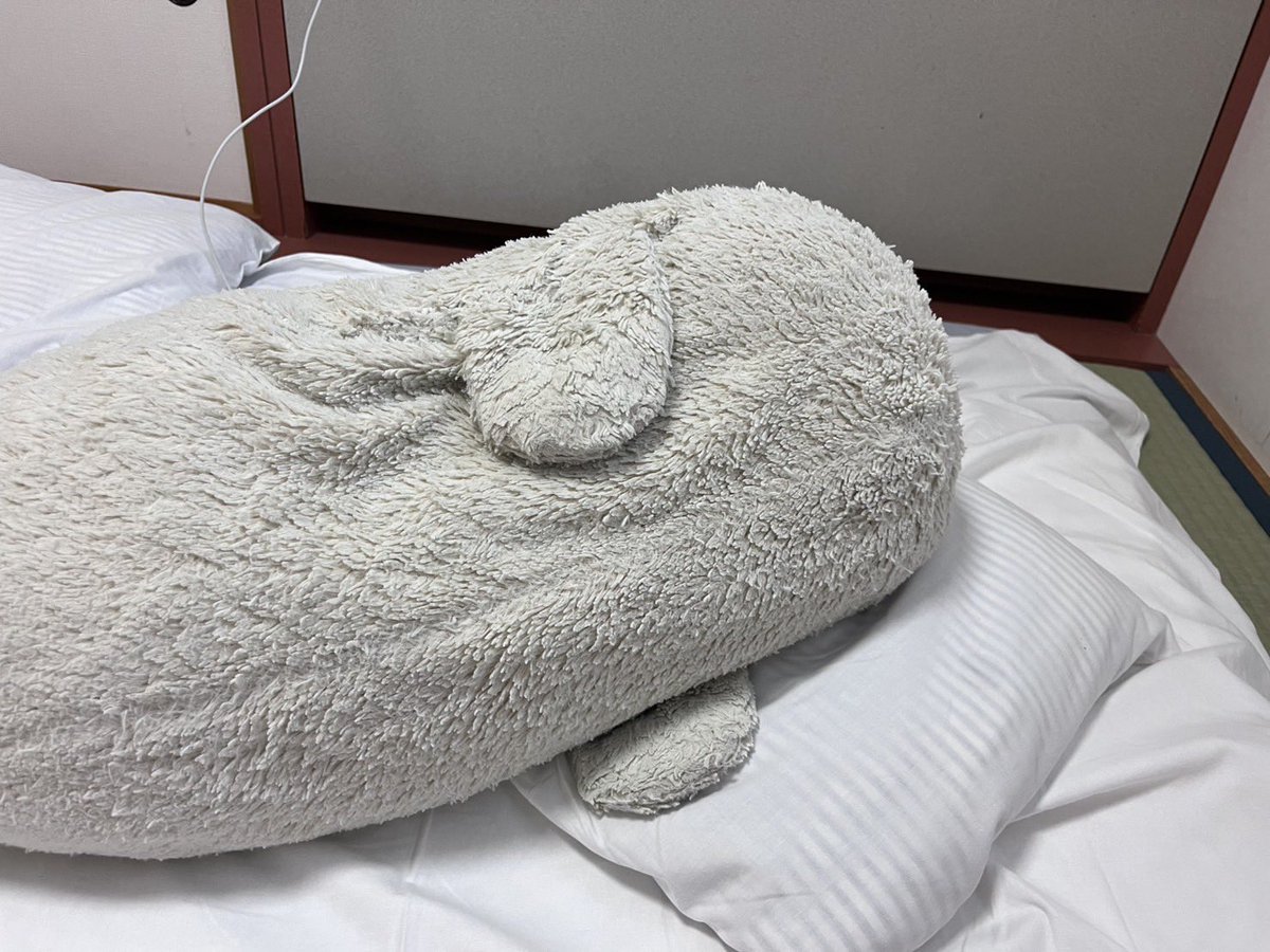 shiro1999tan's tweet image. これは横？縦？
よくわからなくなってきた、、
#しろたん