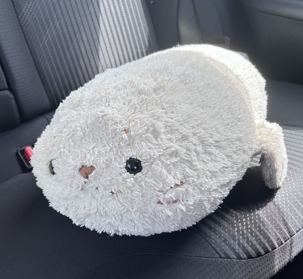 shiro1999tan's tweet image. これは横？縦？
よくわからなくなってきた、、
#しろたん