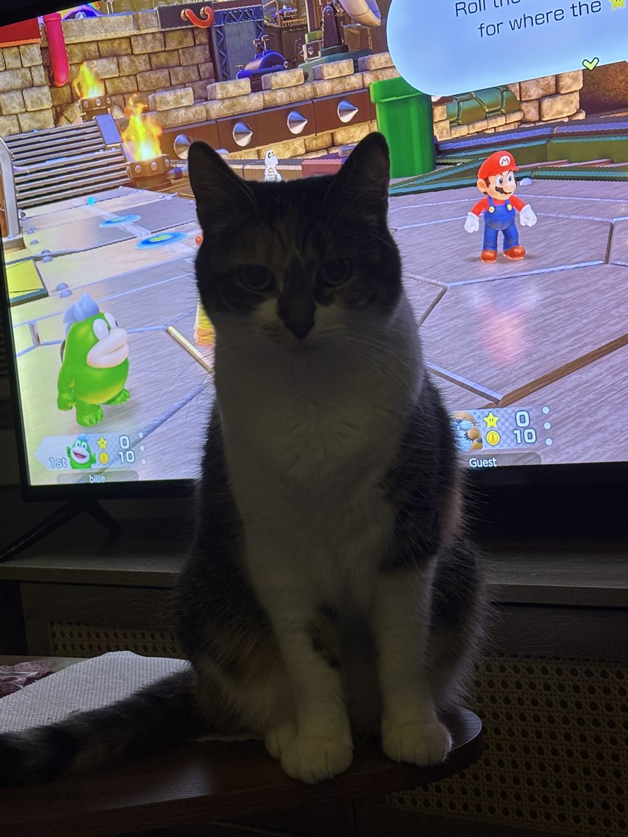 blossumupdate's tweet image. Blossum asked if anyone wants to play Mario party with her