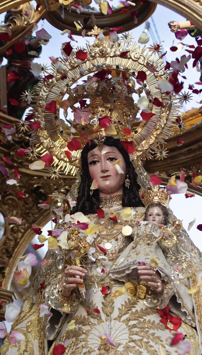 Javier Osuna tweet media