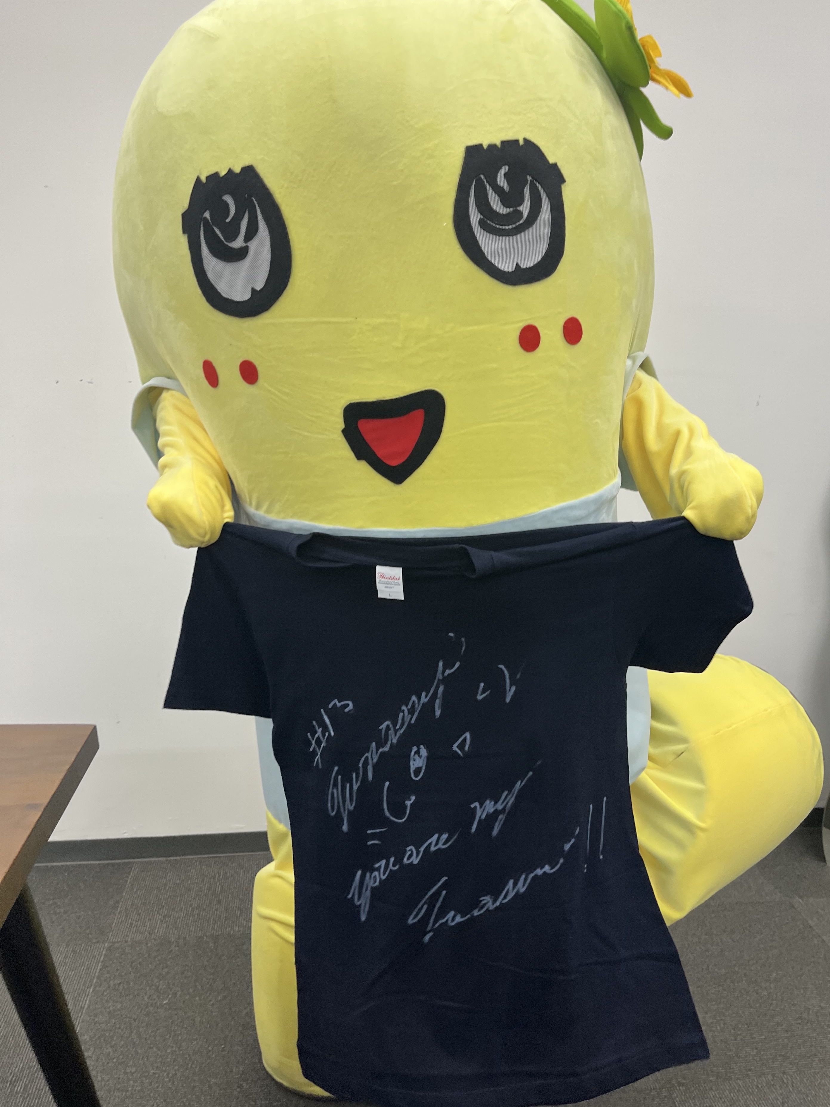 日テレサービスふなっしー商品担当 (@ntvs_funagoods) / X