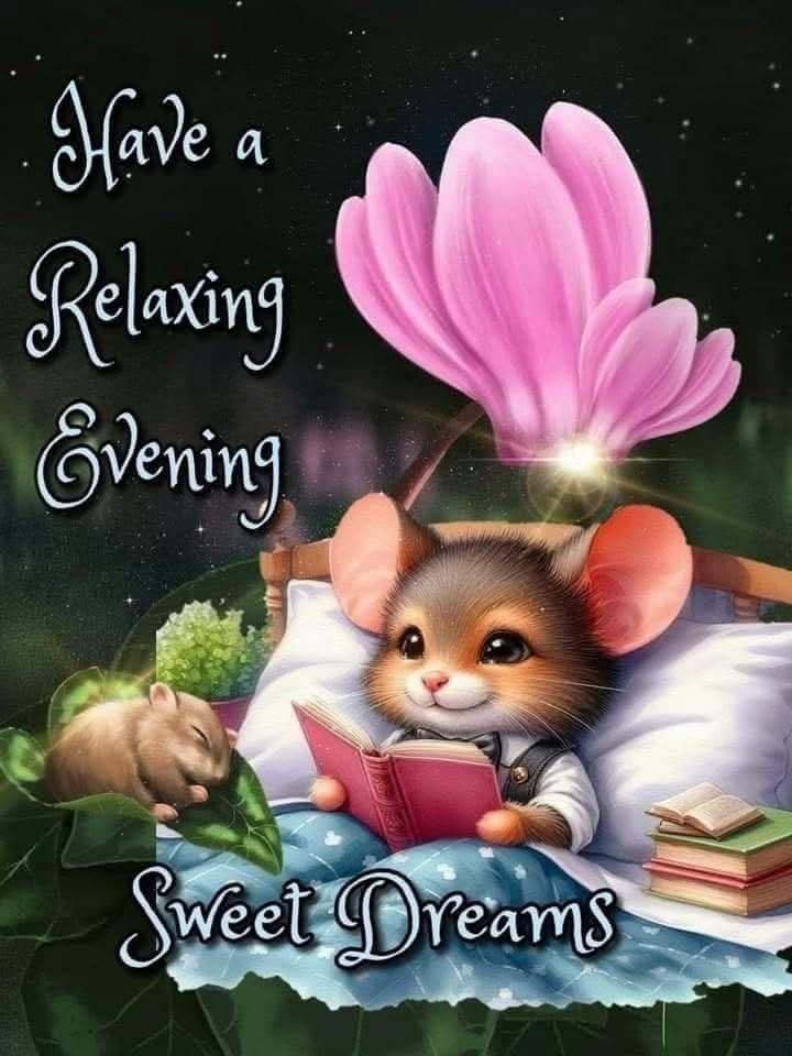 Suekusowski1's tweet image. Goodnight my beautiful friends. Have a peaceful sleep with an abundance of sweet dreams.
